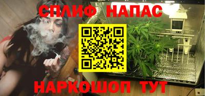 шишки Лесосибирск